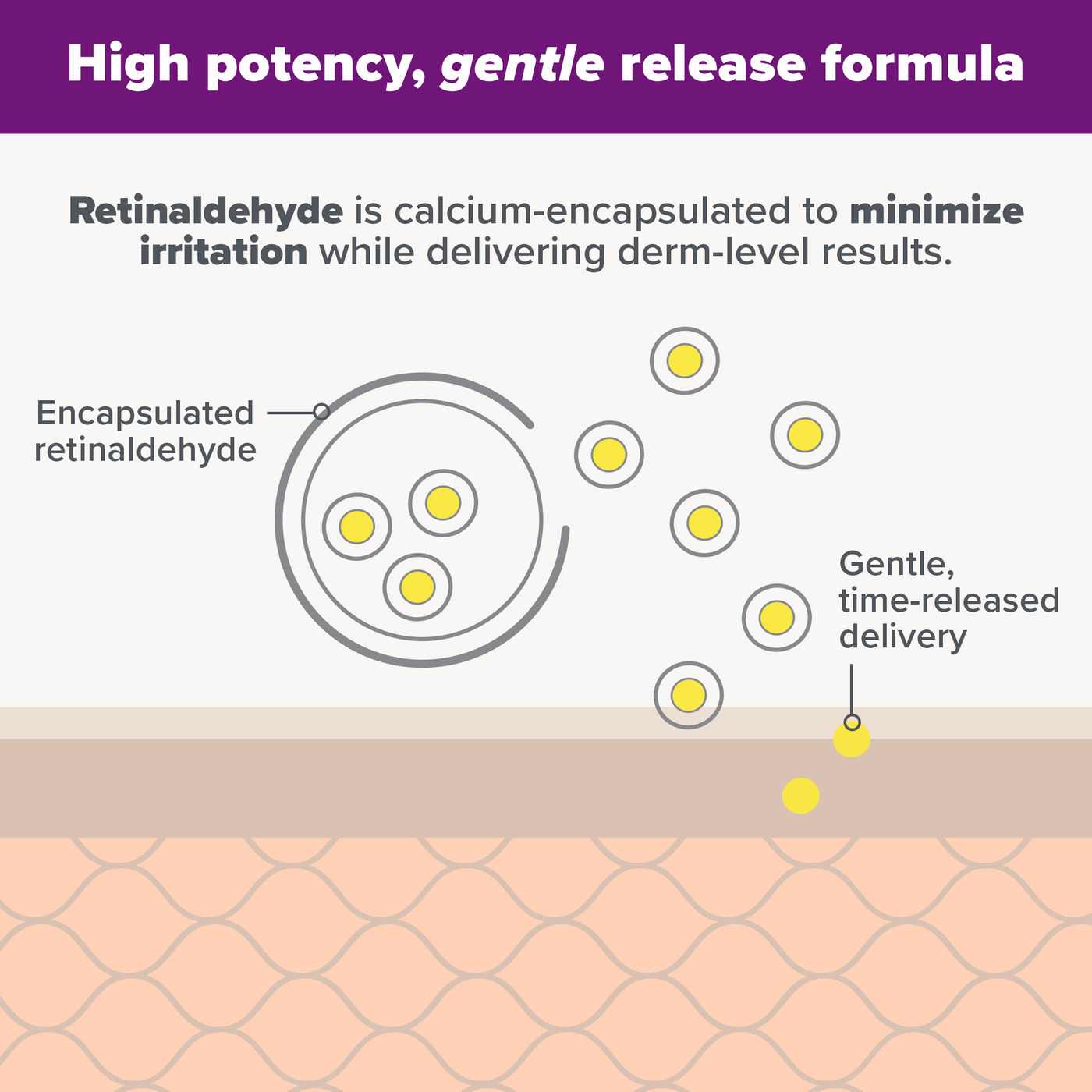 PRO Retinaldehyde Treatment with formula description